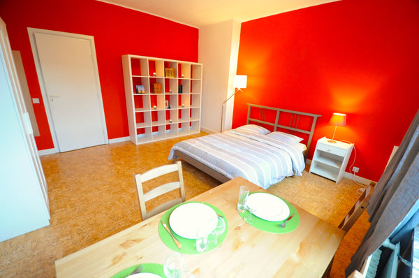 Apartment with lots of light, with own  kitchen, own bathroom, own toilet, own e Brussels, Belgium Bright studio at 4th level next to VUB University Entire rental unit vacation rental 7356619