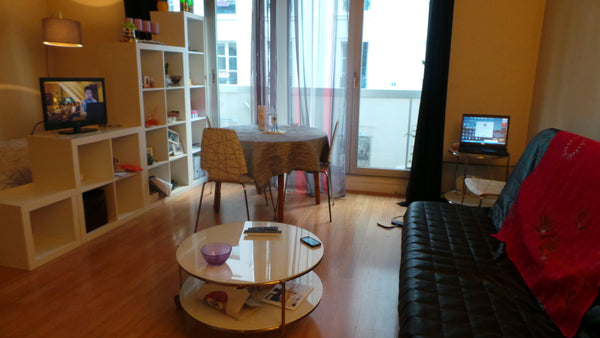 My apartment can accommodate 4 persons with 2 sofa beds in 40m². Paris, France Large studio in Paris 13e Entire rental unit vacation rental 9001225