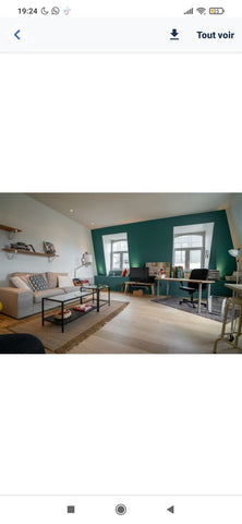 Appartement spacieux, lumineux, coloré et pleins de Pep's en pleins centre de Br  Superbe appartement en plein coeur de Bruxelles Entire rental unit vacation rental 631086282122987387