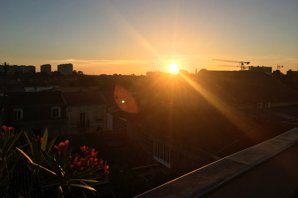 Appartement  de 65m2 avec une terrasse de 20m2 sur les toits. Vous pourrez en to Bordeaux, France T3 DUPLEX terrasse de 20m2, une vue imprenable Entire rental unit vacation rental 19564649