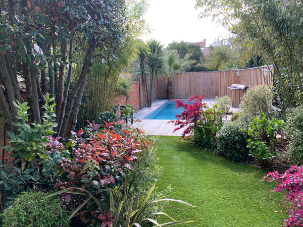 Échoppe bordelaise avec jardin et piscine. Proche tramway et à 10 minutes du cen Bordeaux, France Agréable maison de ville avec piscine Entire townhouse vacation rental 609188496755933681