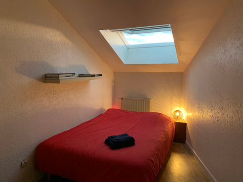 Appartement en duplex au dernier étage avec balcon, plein sud, très lumineux et  Lyon, France Duplex dernier étage plein sud, calme et lumineux Entire rental unit vacation rental 45604218