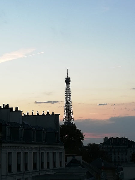 Paris, France Heart of Paris - Invalides Area Entire rental unit vacation rental 29682790