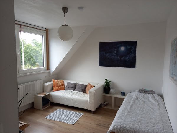 renovated house with old elements, and funny details, all the modern needs avail Ghent, Belgium Large clean room, quiet area, 4 km to city centre Private room in home vacation rental 37435966