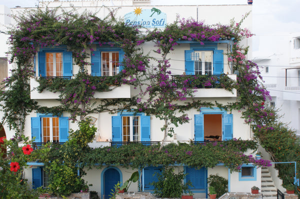 Pension Sofi offers to guests 10 full  equipped rooms with single or double beds Naxos, Greece PENSION SOFI Private room in bed and breakfast vacation rental 5053258