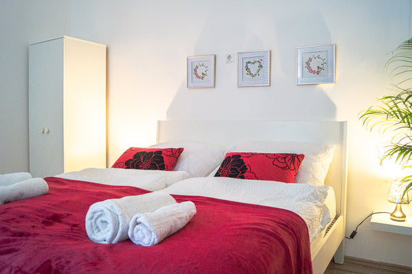 The Spacious double bed apartment ,a great option for traveling friends and love  Brilliant 1BR Apt. - Ideal for 3 persons Private room in rental unit vacation rental 622541223221523967