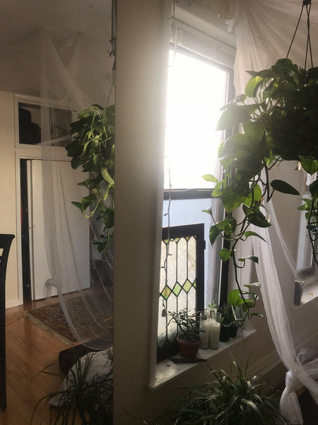 Large, sunny bedroom New York, NY Rental unit in Brooklyn · 1 bedroom · 1 bed · 1 shared bath Private room in rental unit vacation rental 22904809