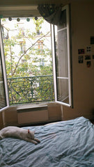 Charming and pretty apartment in Montmarte.<br />Very close to the beautiful Bas Paris, France Pretty apartment in Montmartre district of Paris Entire rental unit vacation rental 20183516