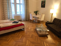 Very central apartment(behind the town hall!) with high ceilings that gives a ni Vienna, Austria Big, lovely room close to the City Center Private room in rental unit vacation rental 44265877
