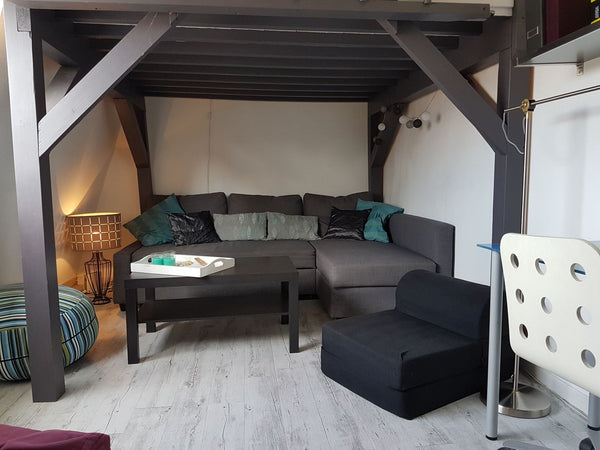 The flat is in the city center, next to the Rhône swimming pool at 10 min away f Montanay, France 25m2 duplex near Place Bellecour Entire rental unit vacation rental 25907692