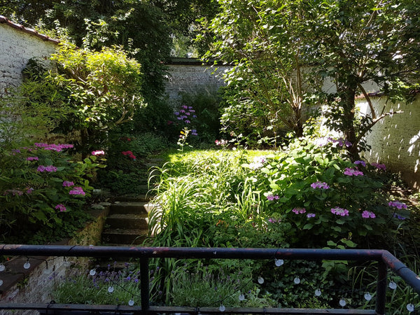 L'appartement de 70 m2 a été rénové en 2017. Au cœur d'un quartier commerçant au Brussels, Belgium apartment & balcony-garden view-XL/uccle/St Gilles Entire rental unit vacation rental 19135224
