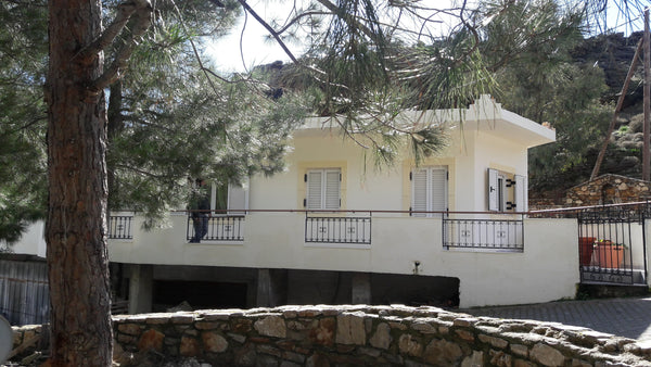 The house 