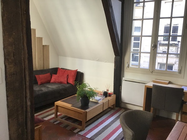 Très joli appartement, lumineux et très calme, tomettes, poutres et pierres appa Paris, France studio 30 m2, au coeur du Marais historique Entire rental unit vacation rental 19537447