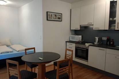 Diese atypische Wohnung mit Zugang für Rollstuhlfahrer , in der Nähe der Donau.  Austria Mitte in der Mitte Entire condo vacation rental 50765678