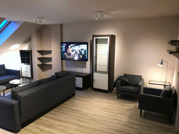 Large duplex attic apartment with 4 separated bedrooms, living room, dining room Hlavní město Praha, Czechia National Museum 230 sq.m. 4BDR Apartment III Entire rental unit vacation rental 42776760