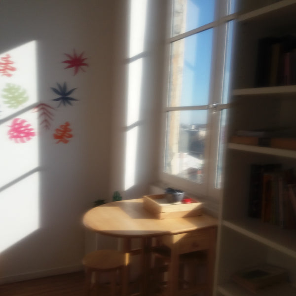 chambre salon , lit en mezzanine bien isolée dans grand appartement canut en tri Lyon, France Fantasques pentes Croix Rousse Private room in rental unit vacation rental 23431103