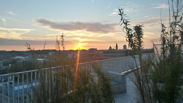Modern dakappartement met een mooi uitzicht, minder dan 2 km van het historische Hoeselt, Belgium Rooftop apartment Entire condo vacation rental 14928559