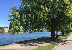 Charming city townhouse with 3-floors and 138 sqm, modern furnishing and cosy st Copenhagen, Denmark Charming townhouse with garden in Copenhagen city Entire townhouse vacation rental 2520615