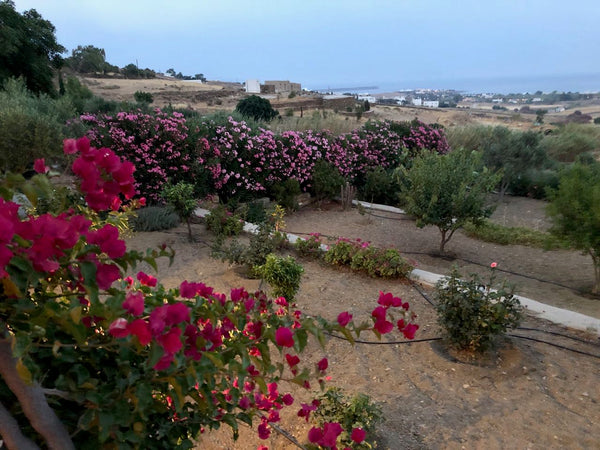 A piece of heaven on Paros island, which offers the tranquility, the island aura Athens, Greece Daphne's Country House with Sea View, Drios-Paros Cycladic home vacation rental 31180019