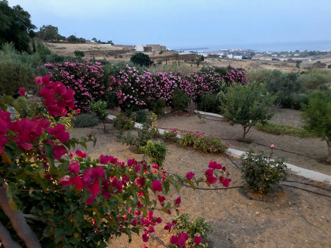 A piece of heaven on Paros island, which offers the tranquility, the island aura Athens, Greece Daphne's Country House with Sea View, Drios-Paros Cycladic home vacation rental 31180019
