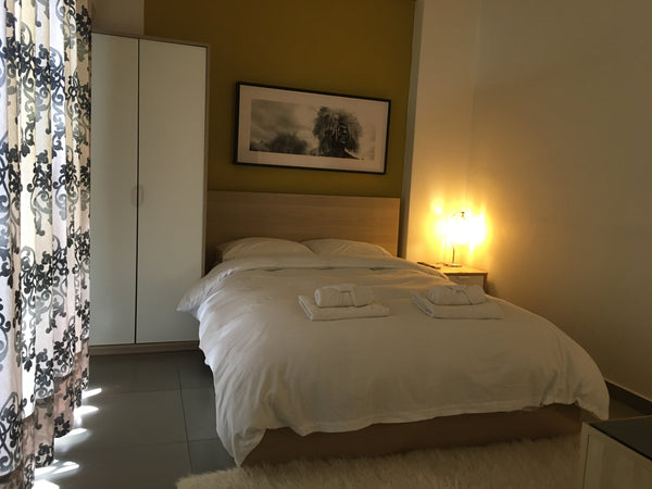 Beautiful sunny renovated studio 25sm at the 4 floor , 13sm terrace  with flower Athens, Greece Sunny terrace apartment Entire rental unit vacation rental 17573532