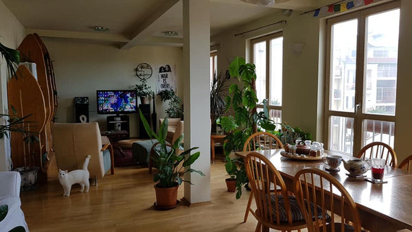 This cosy, top-floor, luminous flat is truly a home away from home. It catches t Prague, Czechia Cosy one-bedroom rental in Prague 2 Oasis Private room in rental unit vacation rental 600623038206135029