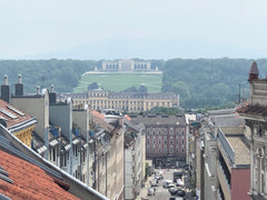 Cosy & stylish roof top apartment near Schönbrunn Palace - nice view incl. <br / Vienna, Austria Cosy Rooftop Apartment near Schönbrunn Palace Entire rental unit vacation rental 35119220