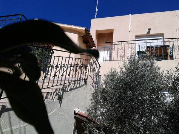 studio 18 sg met with sea view<br />500m  from  the  beach<br />located in a bea Kissamos, Greece sea view studio 500m from beach Private room in rental unit vacation rental 18951769