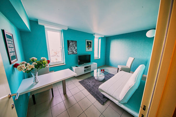 This apartment has just been completely renovated, it is situated 2 minutes walk Antwerp, Belgium Turquoise cozy fun apartment Entire rental unit vacation rental 19311378