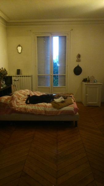 Our flat is a 3 people flatsharing, in typical old Paris building. Each one of u Paris, France Single Room, well located Private room in rental unit vacation rental 7252714
