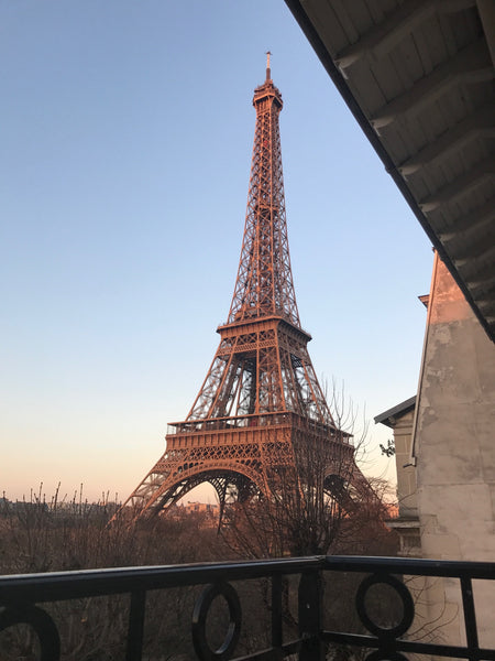 New Year's Eve in Paris? Enjoy the best  Holliday in our exceptional three bed r Paris, France At the foot of the Eiffel Tower! Entire rental unit vacation rental 16233639