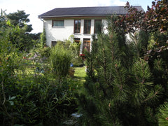 Dům stojí v zahradách skoro v centru Prahy, pod horou Vidoule. Ticho, slunce, vl  Room with garden and safe parking Private room in home vacation rental 7042192