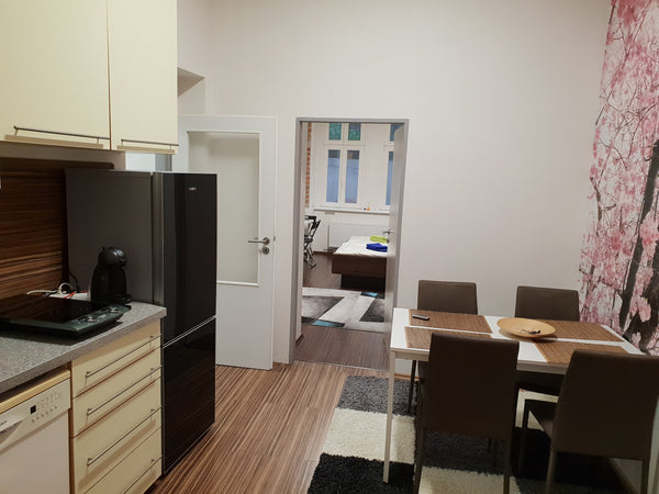 The apartment has the hall, bathroom, two separate bedrooms and the separate kit Prague, Czechia Renovated spacious apartment near the city center Entire rental unit vacation rental 25349859