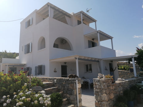 Amalthea room<br />Το διαμέρισμα βρίσκεται σε ένα ήσυχο περιβάλλον στον οικισμό  Schoinousa, Greece Amalthea Double room Schinoussa Private room in cycladic house vacation rental 20392225