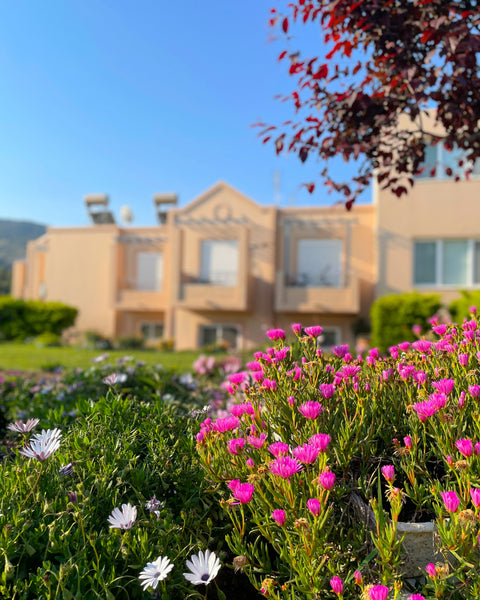 Casa Verde is placed on the mountain surrounded of pines and eucalyptus forest.  Greece Casa verde - Getaway between mountain and sea! Entire condo vacation rental 10764064