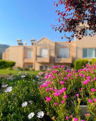 Casa Verde is placed on the mountain surrounded of pines and eucalyptus forest.  Greece Casa verde - Getaway between mountain and sea! Entire condo vacation rental 10764064