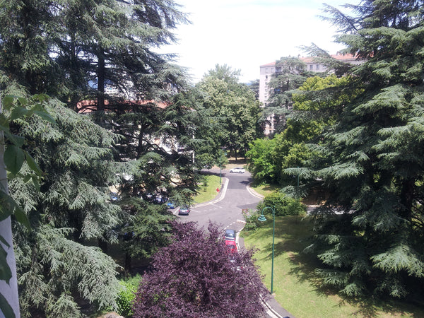 Immeuble situé dans un parc avec entrée sécurisée et grande facilitée de parking Saint-Étienne, France Bel Appartement dans un parc sécurisé Entire condo vacation rental 21929446