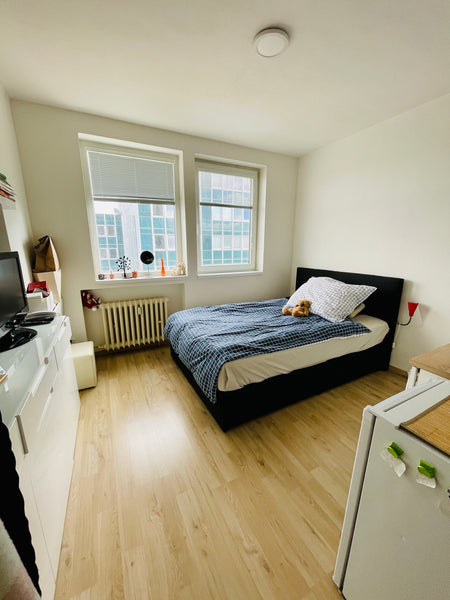 Alojamiento tranquilo, y para trabajar, puedes usar las áreas comunes como el gy Prague, Czechia Friendly small flat for nomads Entire condo vacation rental 620768951694375802