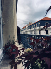 Prenez place dans un grand 3 pièces lumineux dans un immeuble Haussmannien du XI Lyon, France Full appartment in centre Entire rental unit vacation rental 21496728