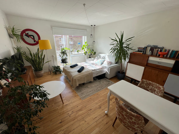 Large and sunny private room in a quiet and central location. <br />2-room apart Copenhagen, Denmark Large and sunny room Private room in rental unit vacation rental 637582584625974810