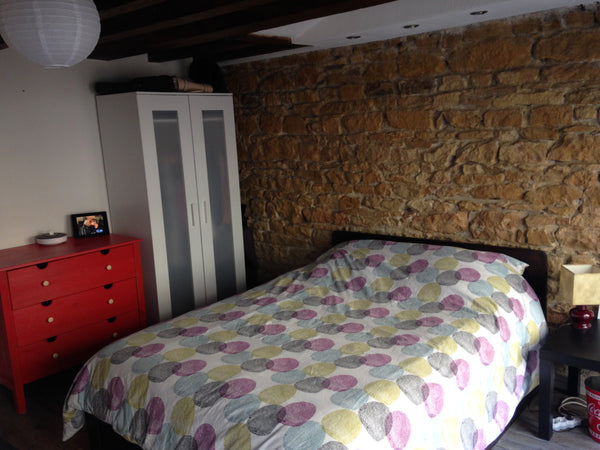 Studio avec beaucoup de charme (poutres en bois au plafond, parquet, mur en pier Lyon, France Sudio Cosy -33m²- Presqu'île Lyon Entire rental unit vacation rental 8628724