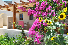 Peaceful and spacious, laid out on three levels, our home is the ideal accommoda Oia, Greece Cactus hideaway with sea views Cycladic home vacation rental 5973737