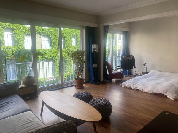 Welcome to this magical Studio!!! With it's bright view in front of the prestigi Brussels, Belgium Bright Artist Studio right in the <3 of Brussels Entire loft vacation rental 45268435