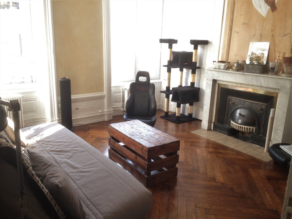 Je loue mon appartement T2, proche Guillotière et berges du Rhône. Calme tout en Lyon, France Charmant T2, 45m², proche Guillotière Entire rental unit vacation rental 22006487