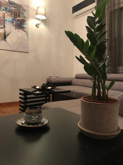 It's a lovely appartment 50m from Acropolis Meseum and Acropolis metro, next to  Nea Ionia, Greece Hidden Gem Apartment in Athens Heart Entire rental unit vacation rental 39999680