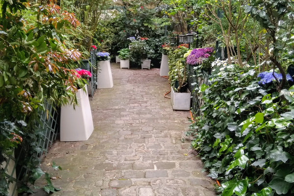 Le studio est proche des métros Daumesnil ou Dugommier ainsi que du tramway T3 a Paris, France Studio calme et verdoyant Paris 12 Entire rental unit vacation rental 21116533