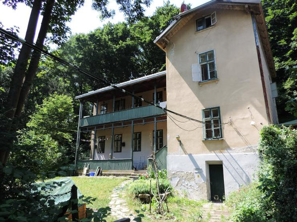 It is a dream house! A typical Viennese old building in the lush Vienna Woods, w Vienna, Austria Dream house in the Vienna Woods! Private room in home vacation rental 27270352