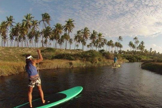 Private Stand Up Paddle and Kayak Tour on the Imbassaí River  Private Tours and Travel Guide America Bahia CITY Salvador da Bahia Destination Tour