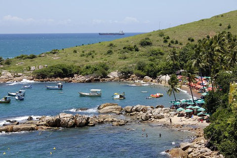 Full Day Tour to Cabo De Santo Agostinho with Buggy ride  Private Tours and Travel Guide America Recife CITY Recife Destination Tour America Recife CITY Recife