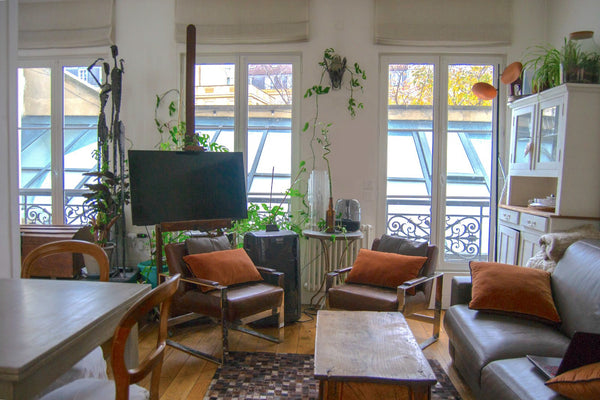 Come and relax, work, create in the old Marais: this beautifully furnished flat  Paris, France Flat with terrace, centrally located (Marais) Entire rental unit vacation rental 3402526
